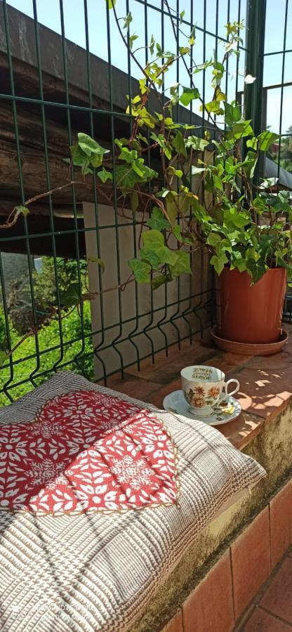 アックアスパルタ Casa Ernesto-Amica Dei Ciclistiヴィラ エクステリア 写真