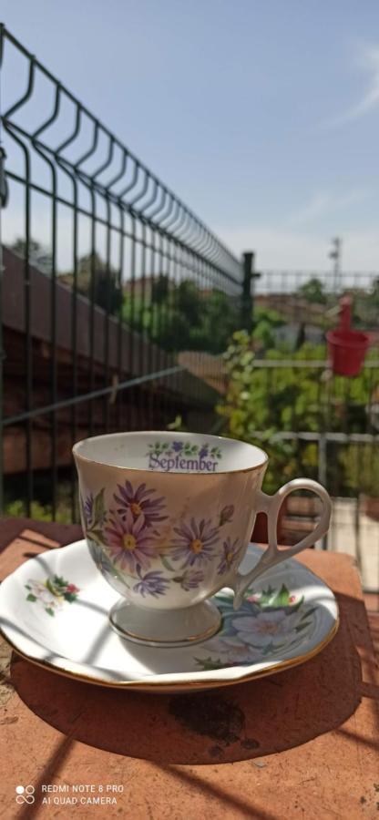 アックアスパルタ Casa Ernesto-Amica Dei Ciclistiヴィラ エクステリア 写真
